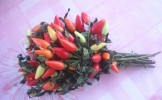 Chili pepper bouquet