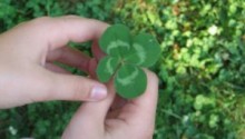 Four-leaf clover