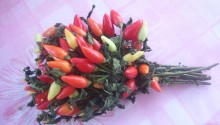 Chili pepper bouquet